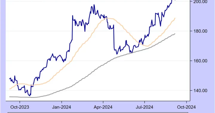 FintechZoom IBM Stock Detailed Analysis & Update